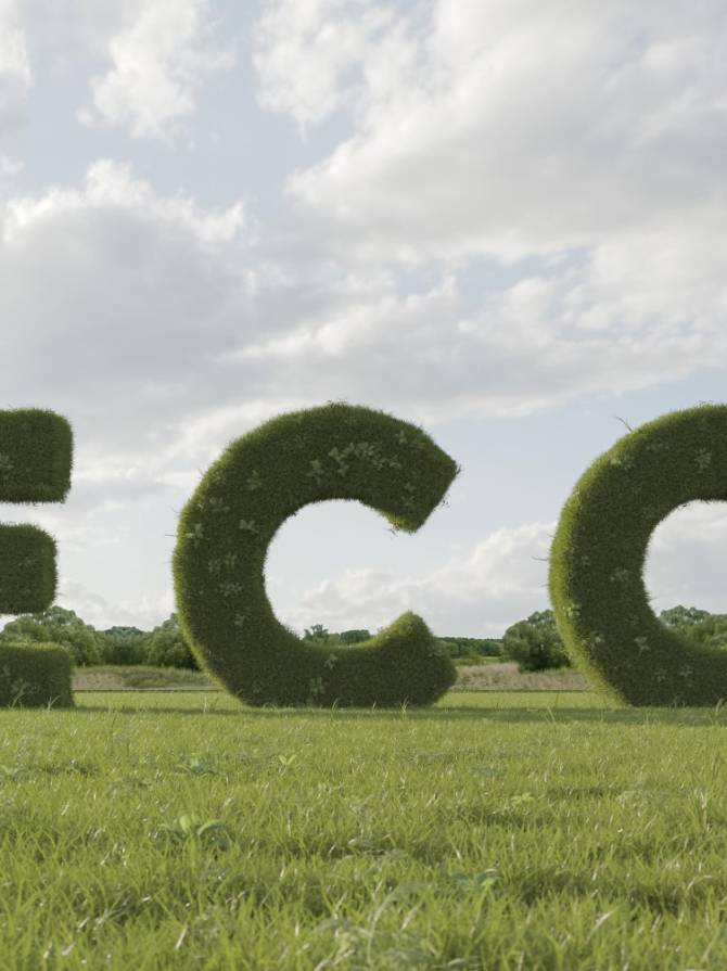 3d-eco-project-environment 3d-eco-project-environment
